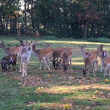 Familienhof Bruening - Terrassenwohnung شقة *